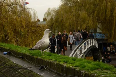 DSC_6097 (Large).JPG